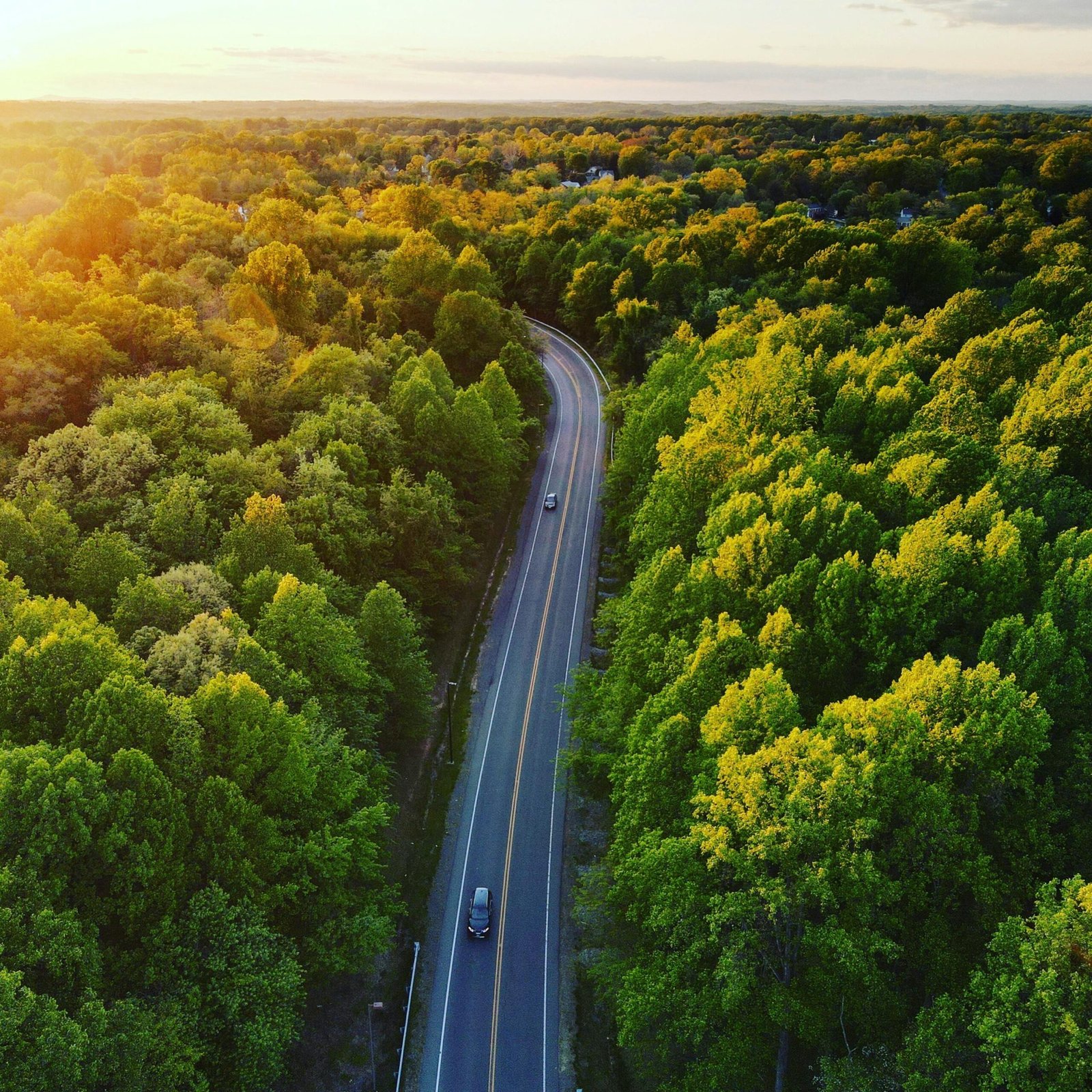Charting a Sustainable Path: Eco-Friendly Strategies in the Green Revolution